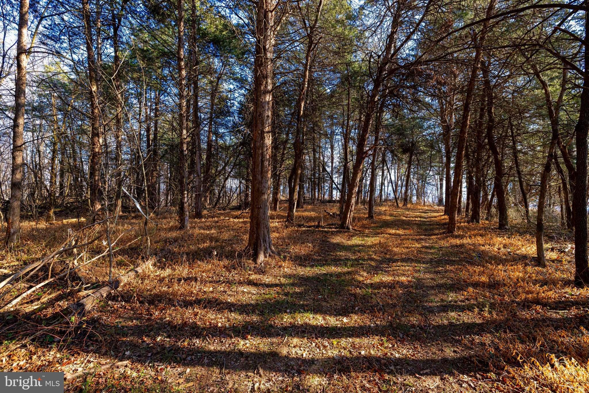 8 Promise Lane Stanley, VA 22851 - Photo 3 of 15