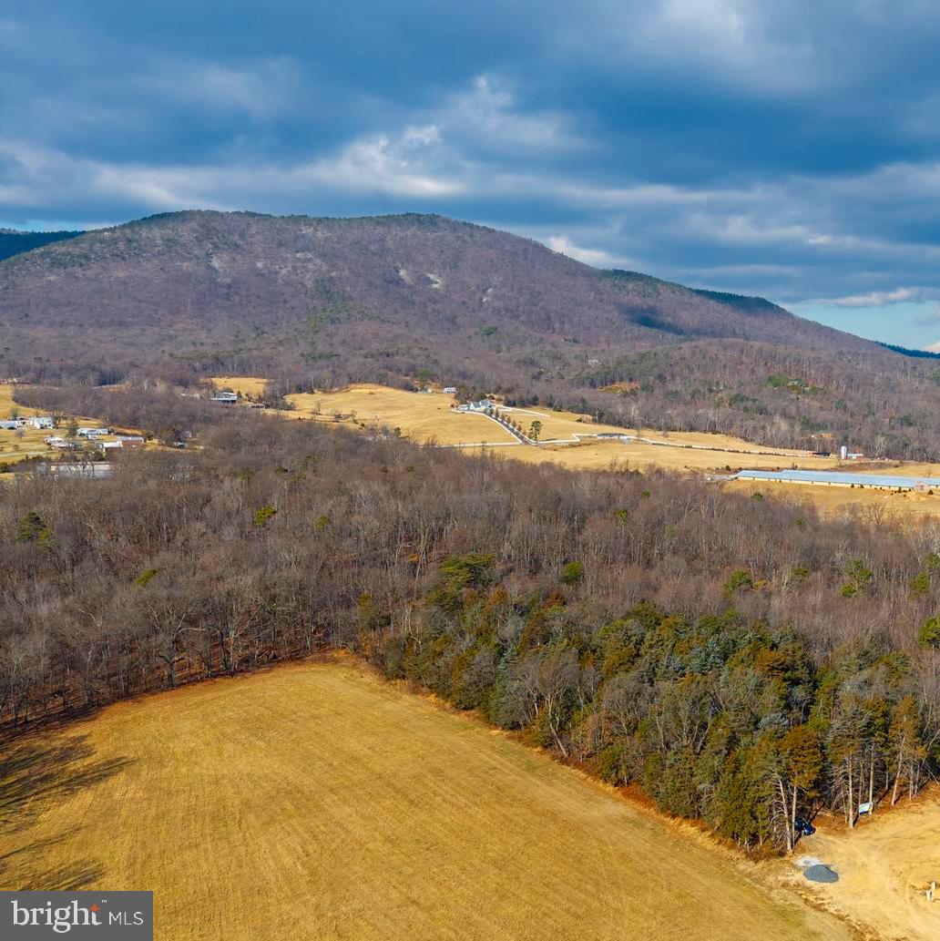 8 Promise Lane Stanley, VA 22851 - Photo 4 of 15