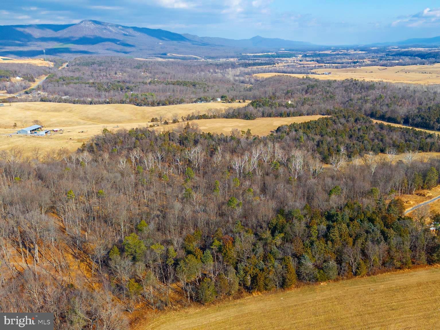 8 Promise Lane Stanley, VA 22851 - Photo 5 of 15