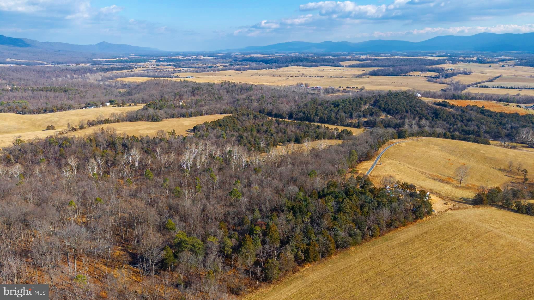 8 Promise Lane Stanley, VA 22851 - Photo 6 of 15