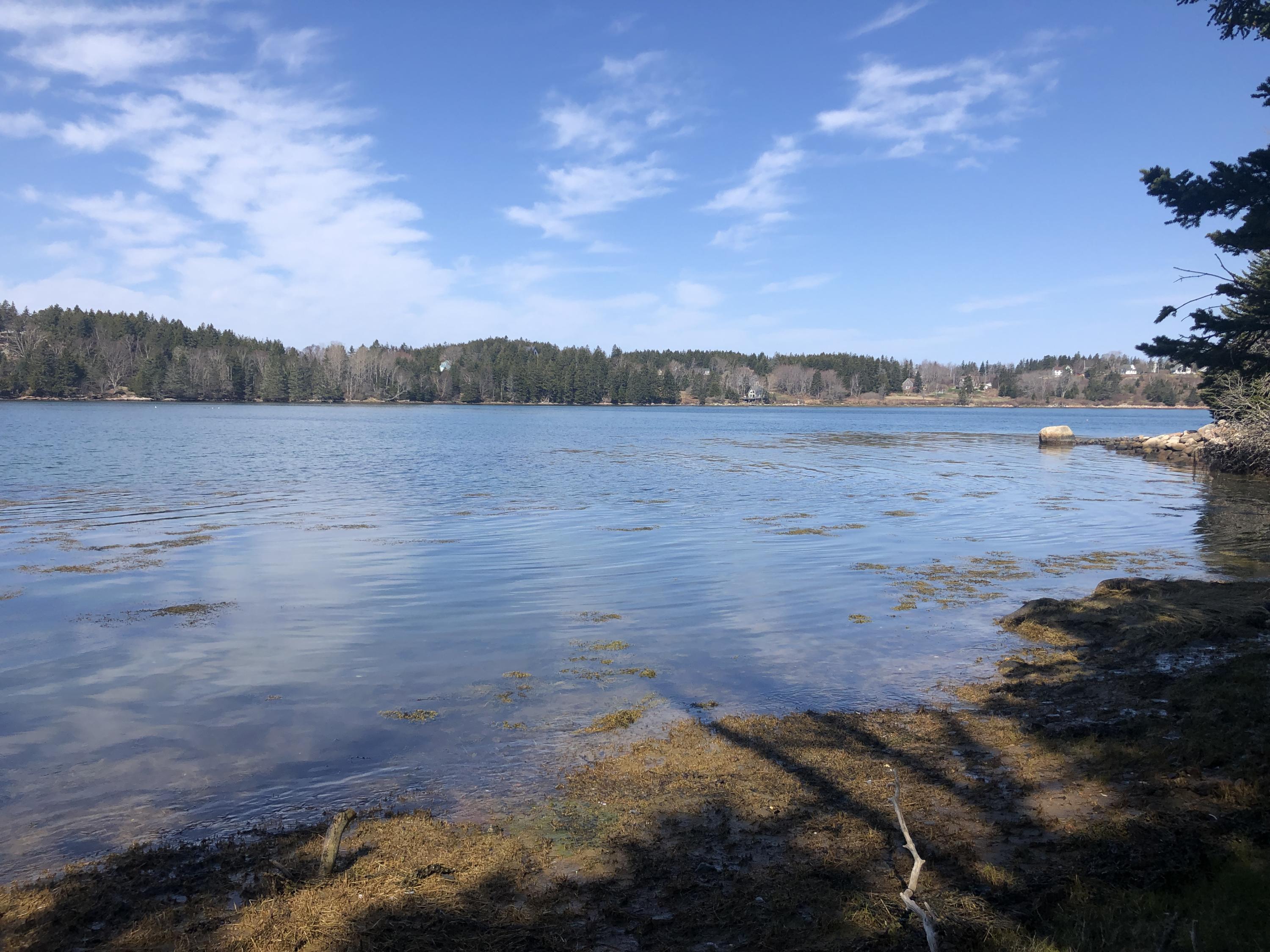 157 Minturn Road Swans Island, ME 04685 - Photo 5 of 20 IMG_8778