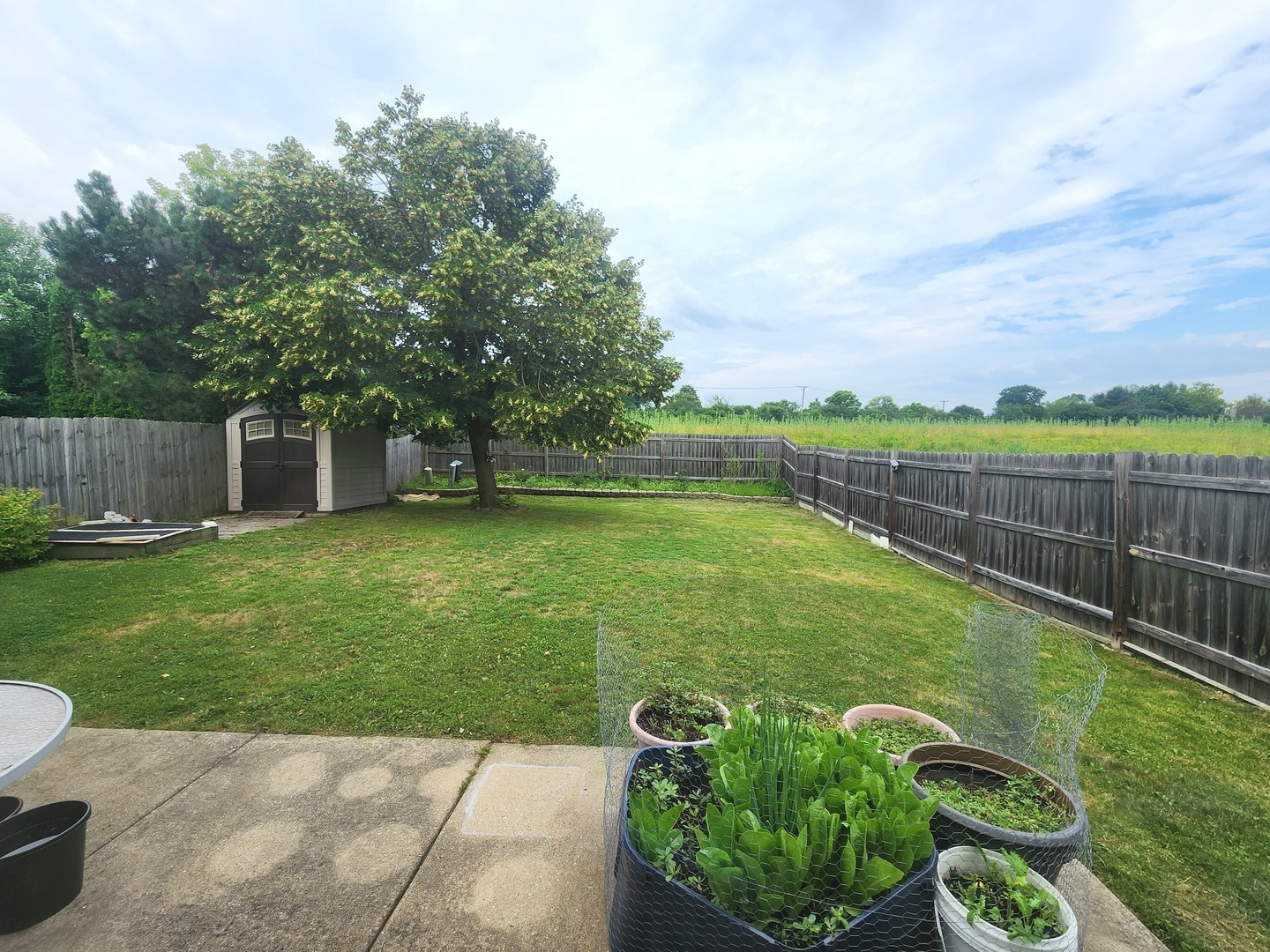 72 Wilton Lane Mundelein, IL 60060 - Photo 36 of 40 a view of a garden with a bench in a garden
