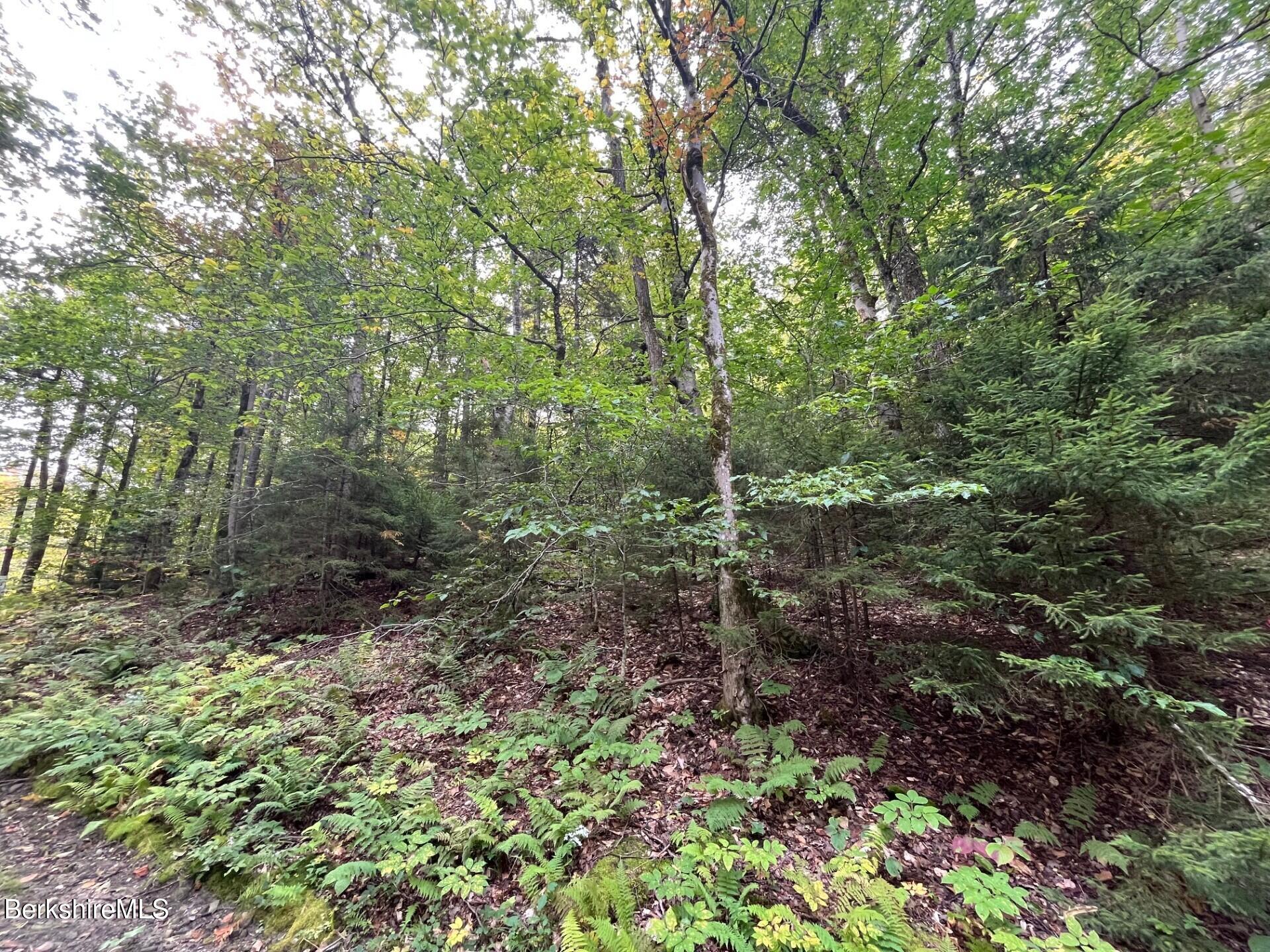 0 Manley Phelps Road Monroe, MA 01350 - Photo 3 of 18 CoverB