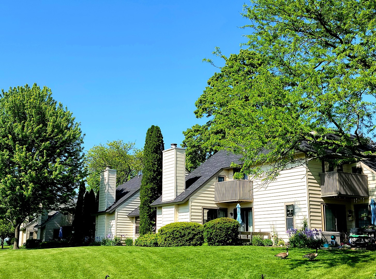 561 Dunham Road Gurnee, IL 60031 - Photo 21 of 30 a front view of a house with a garden