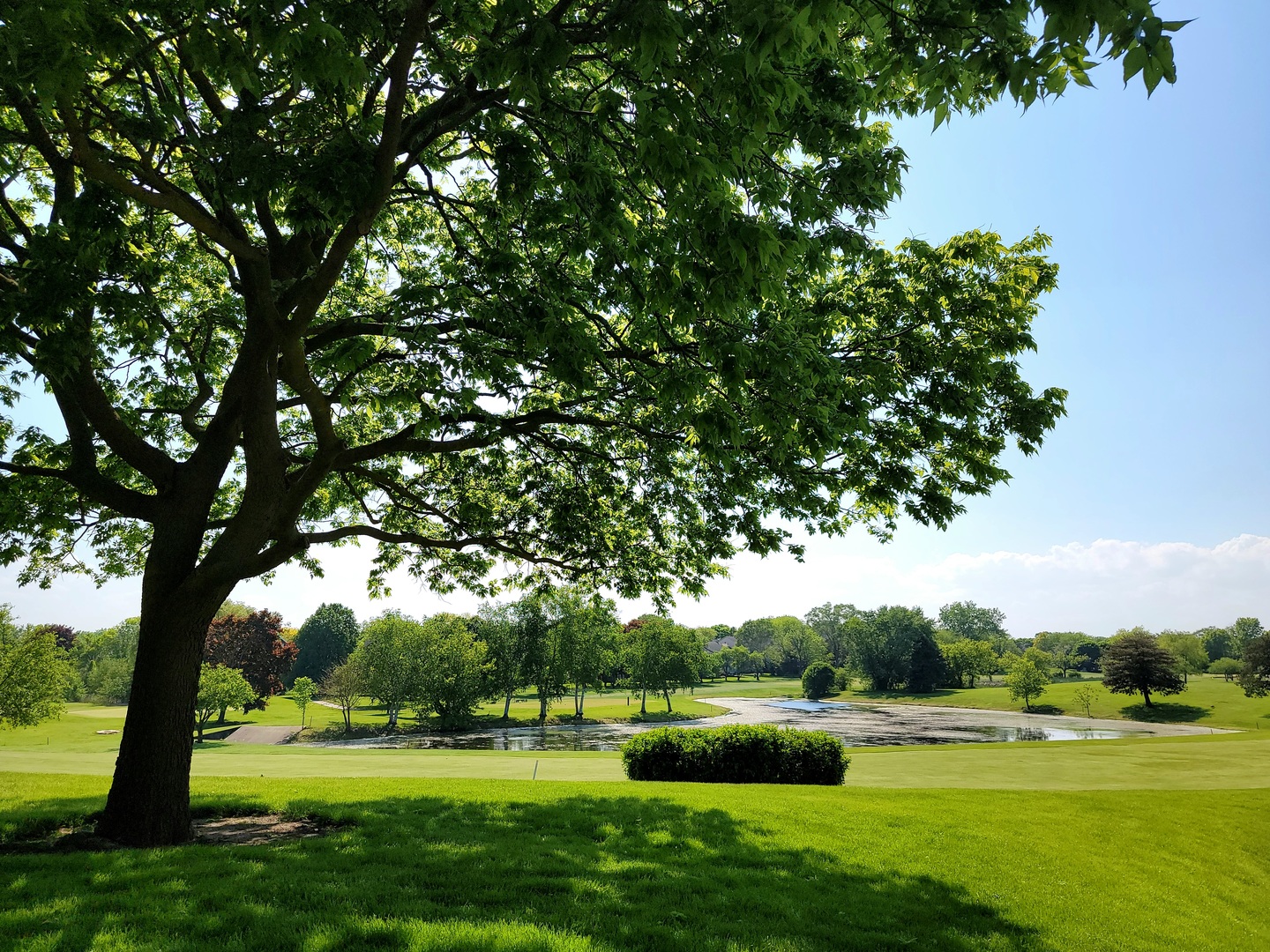 561 Dunham Road Gurnee, IL 60031 - Photo 26 of 30 a view of outdoor space with garden view