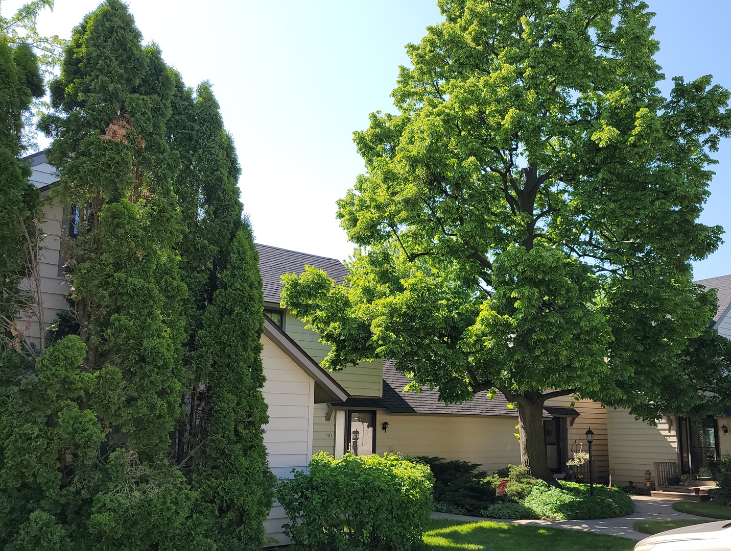 561 Dunham Road Gurnee, IL 60031 - Photo 3 of 30 a house that has a tree in front of it