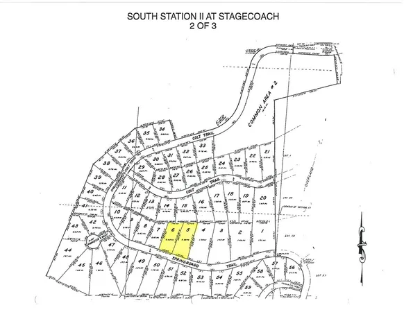 a view of a lush green forest
