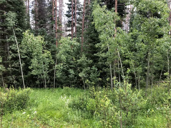 a view of backyard with green space