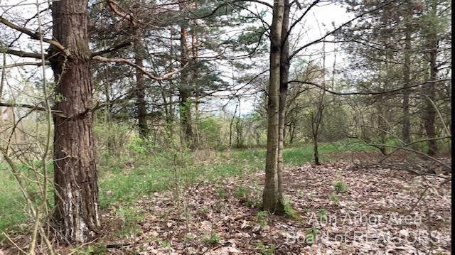 6 Bowens Road Manchester, MI 48158 - Photo 6 of 10 Photo 6