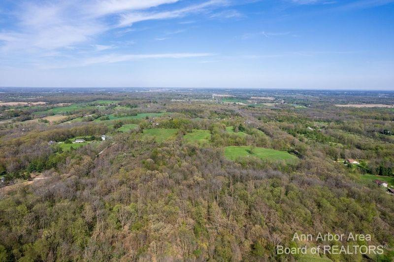 6 Bowens Road Manchester, MI 48158 - Photo 8 of 10 Photo 8
