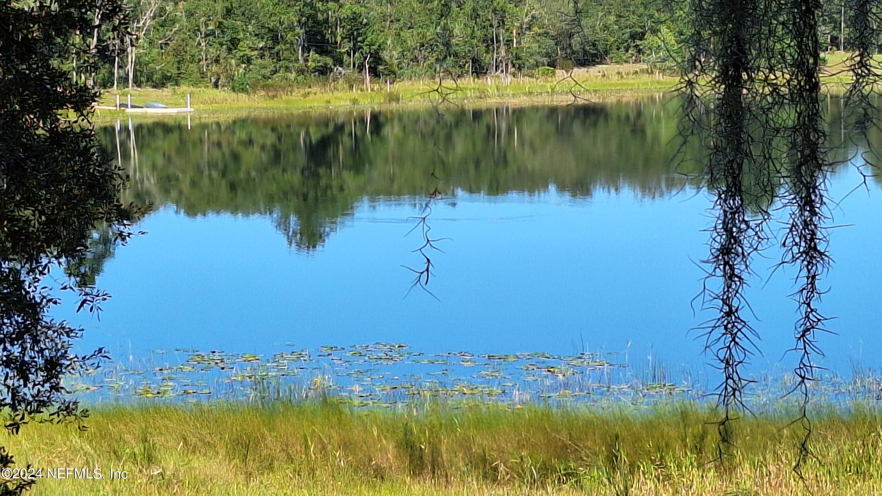 300 Macgill Street Interlachen, FL 32148 - Photo 3 of 15 20241013_113505