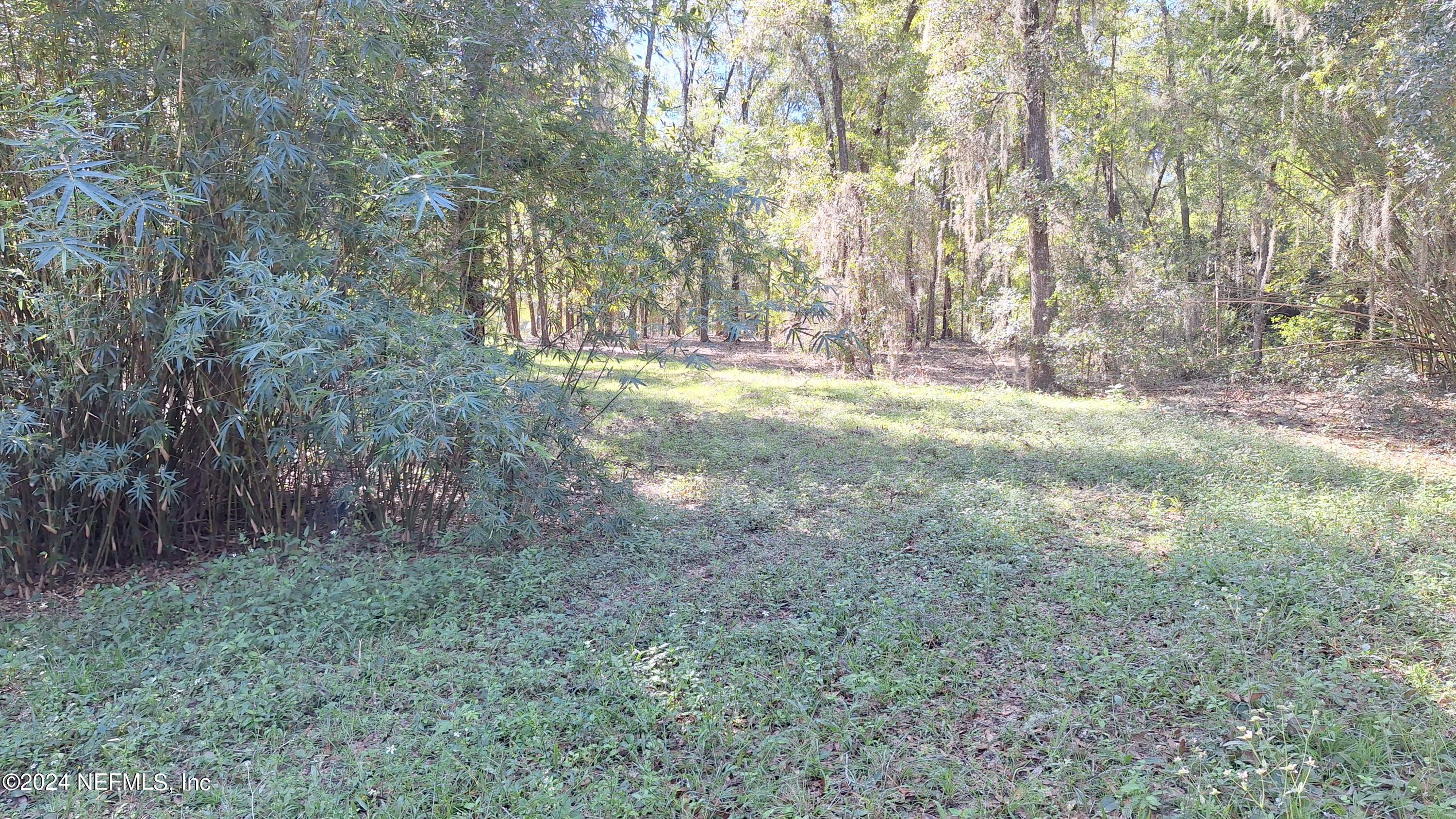 300 Macgill Street Interlachen, FL 32148 - Photo 4 of 15 20241013_114317