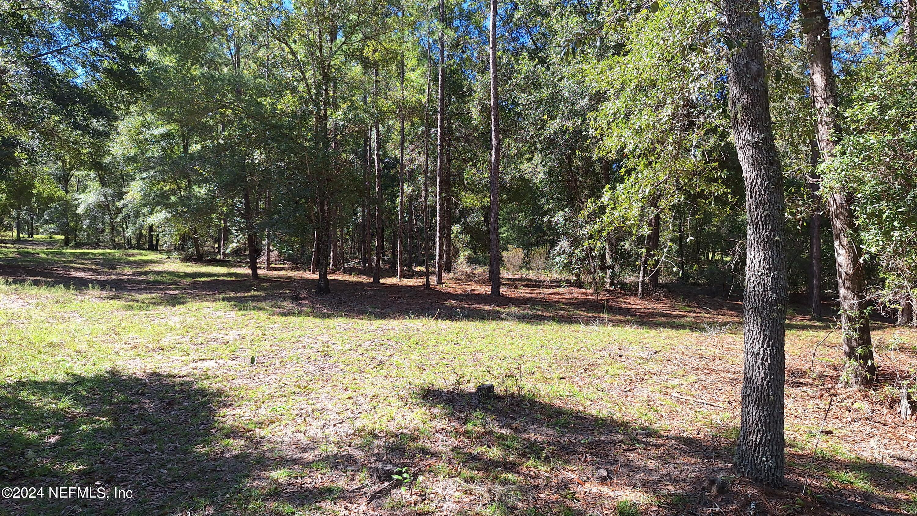 300 Macgill Street Interlachen, FL 32148 - Photo 5 of 15 20241013_114613