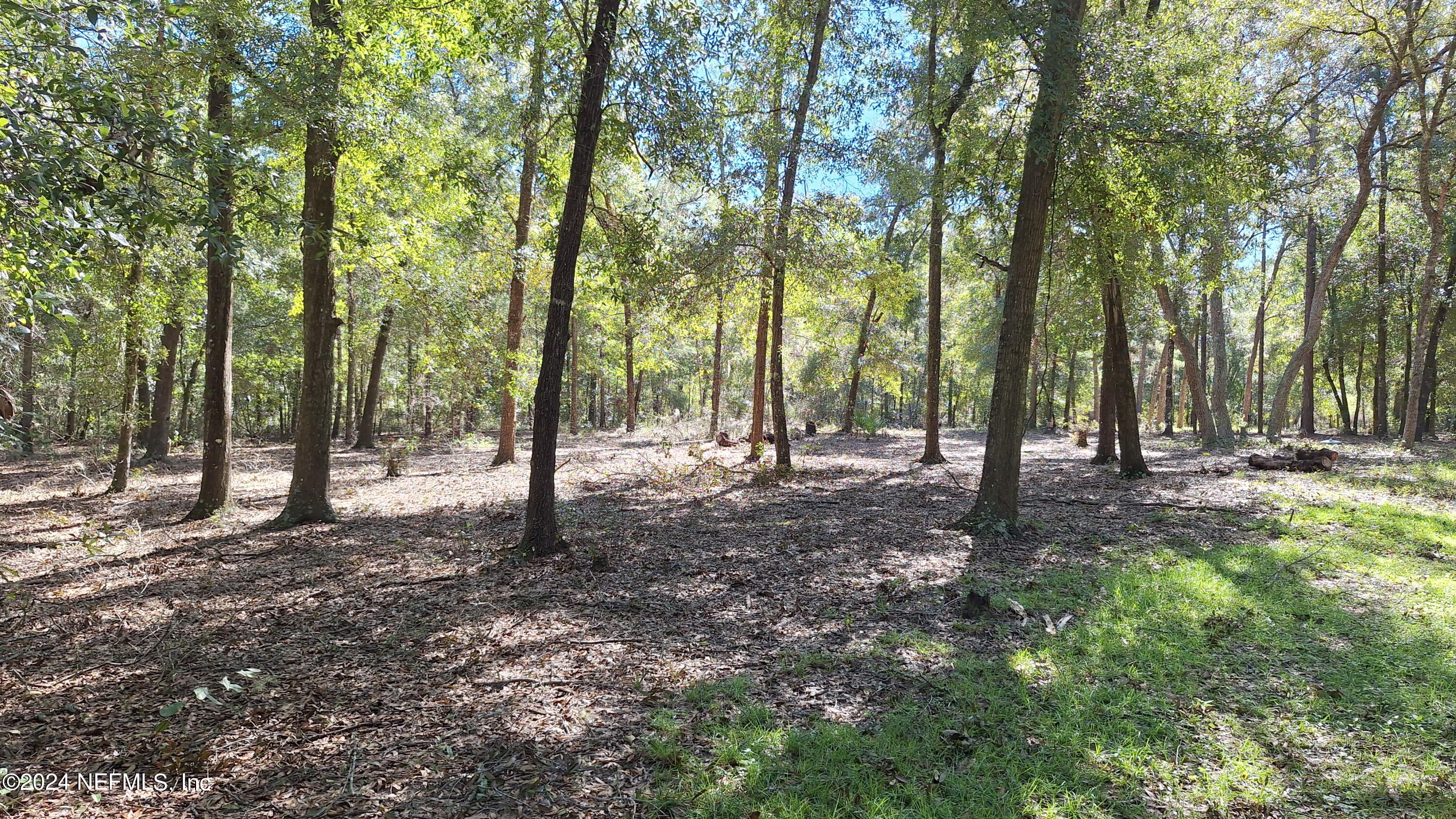 300 Macgill Street Interlachen, FL 32148 - Photo 6 of 15 20241013_114427