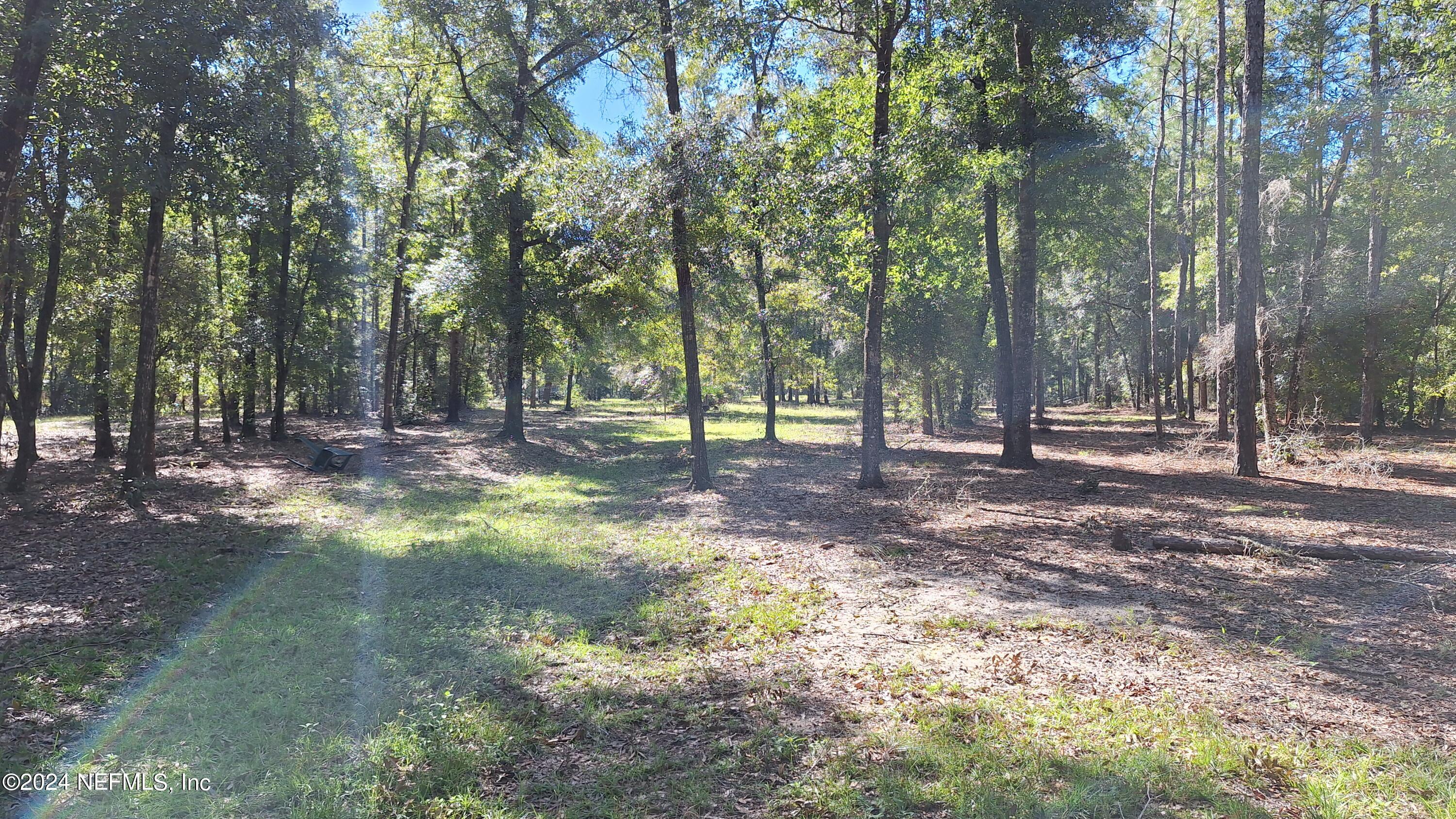 300 Macgill Street Interlachen, FL 32148 - Photo 9 of 15 20241013_114514