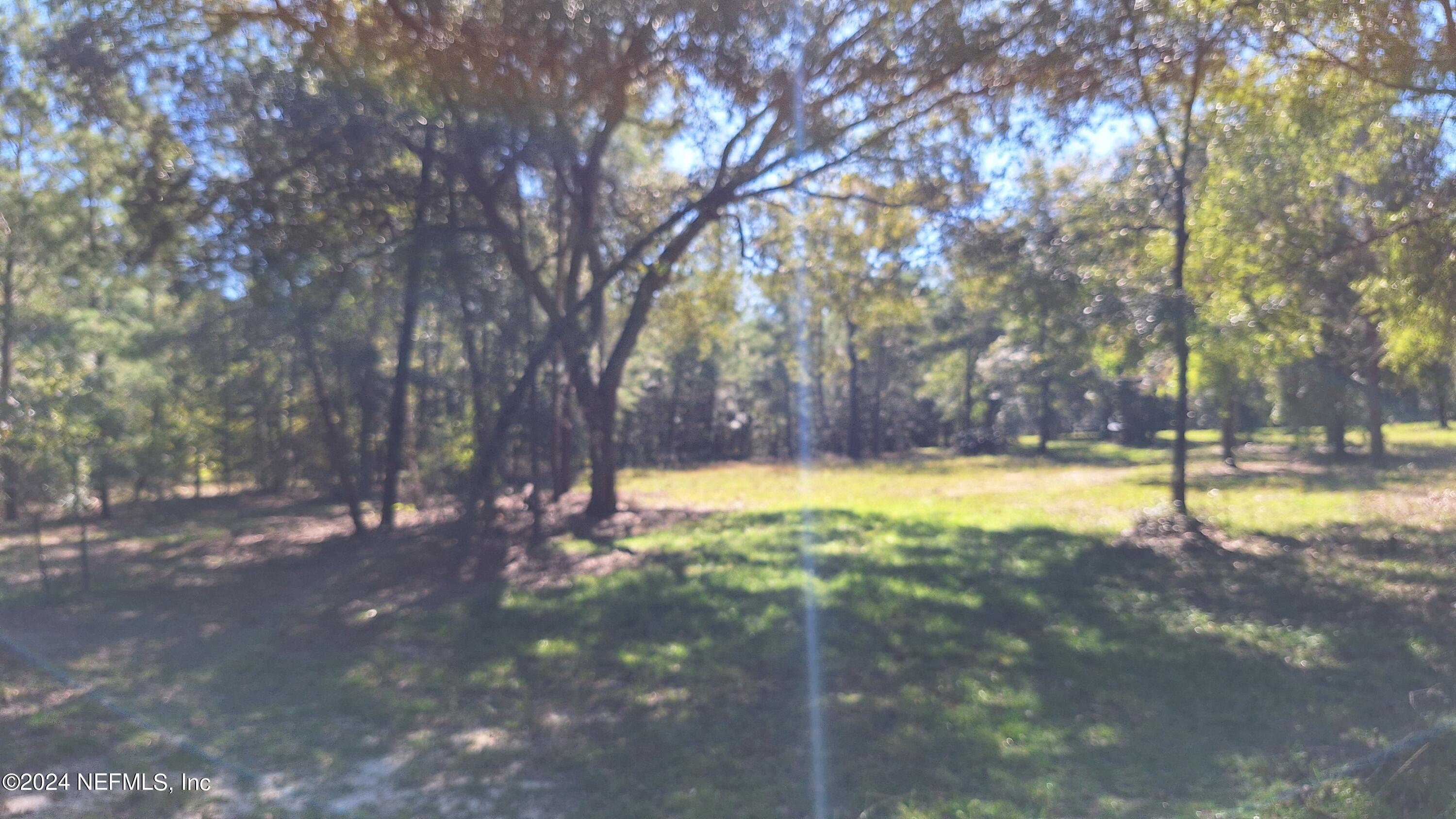 300 Macgill Street Interlachen, FL 32148 - Photo 10 of 15 20241013_114648