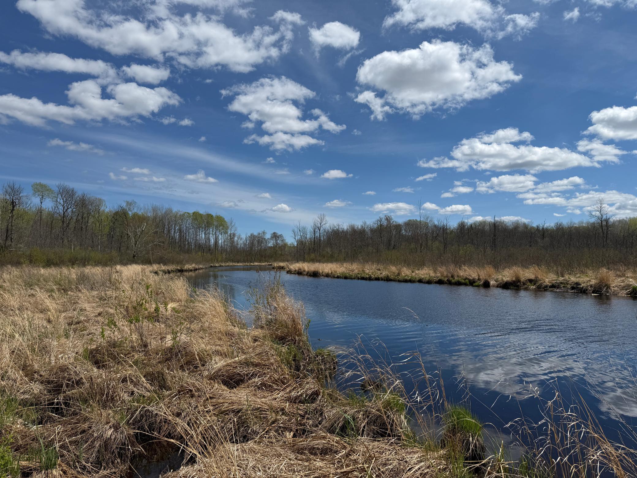 3854 Rasmussen Road Wright, MN 55798 - Photo 23 of 98