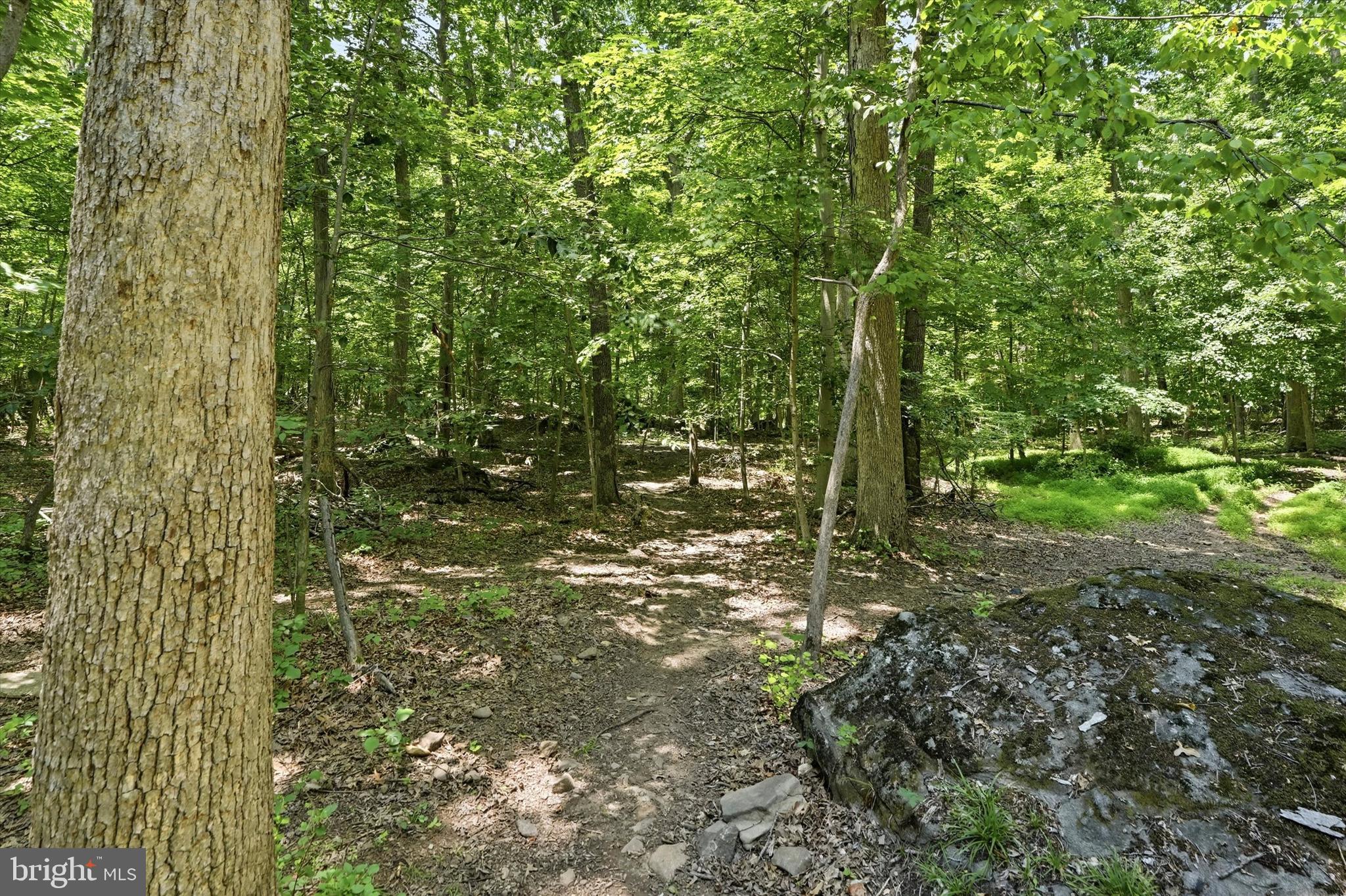 1125 Payne Road Green Lane, PA 18054 - Photo 42 of 47