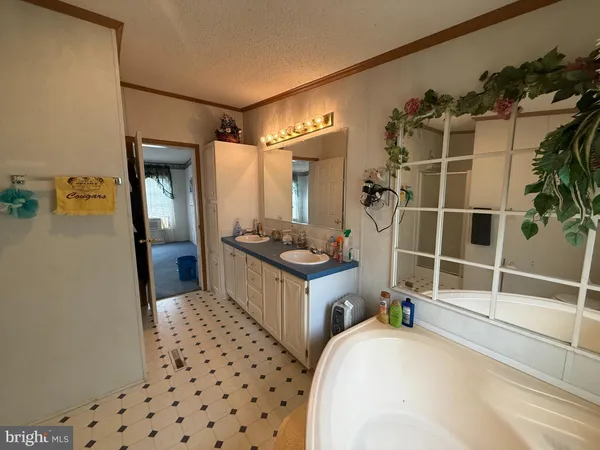 a bathroom with a tub sink a mirror and shower