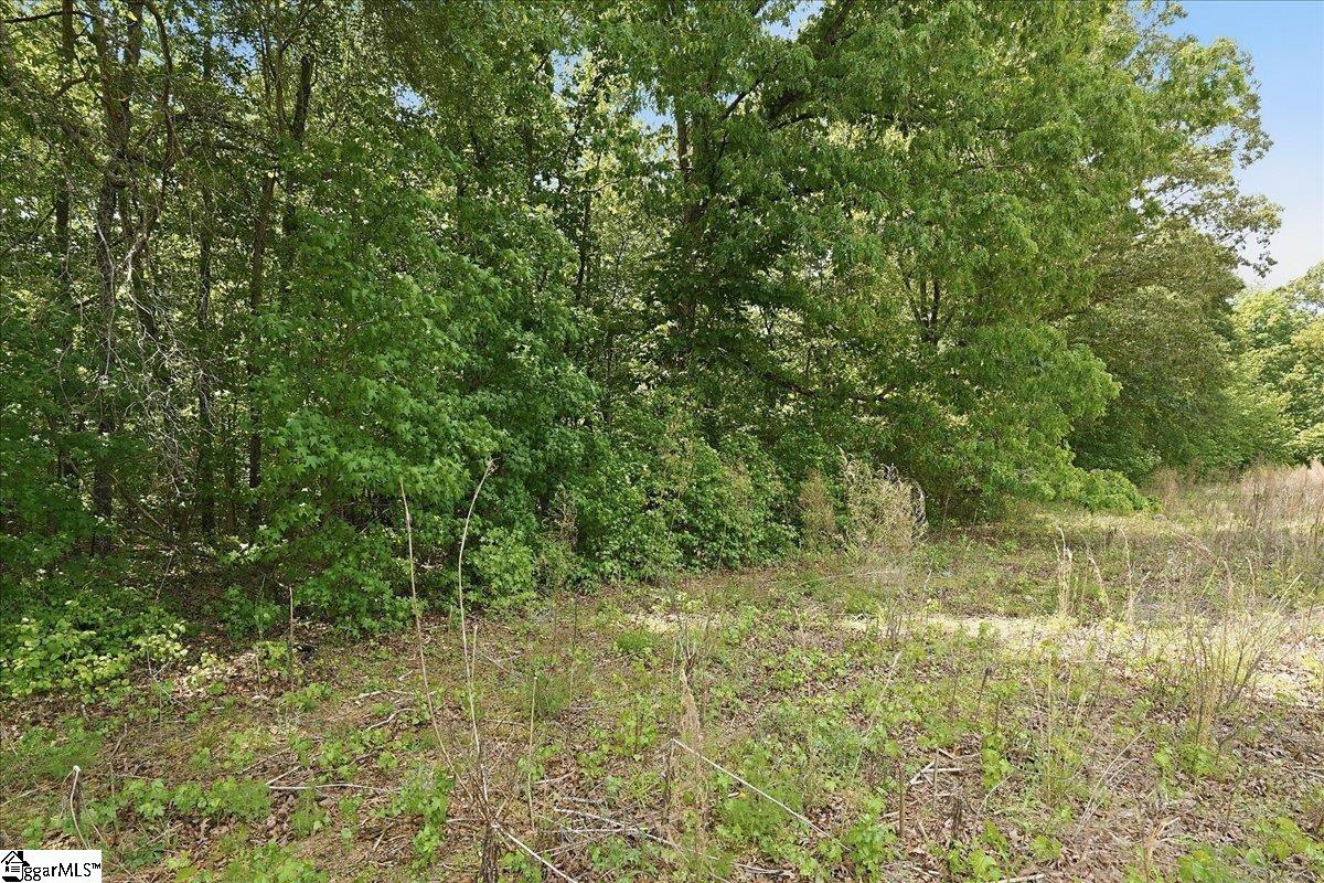 0 Parris Farm Road, Unit LOT 5 Chesnee, SC 29323 - Photo 25 of 26