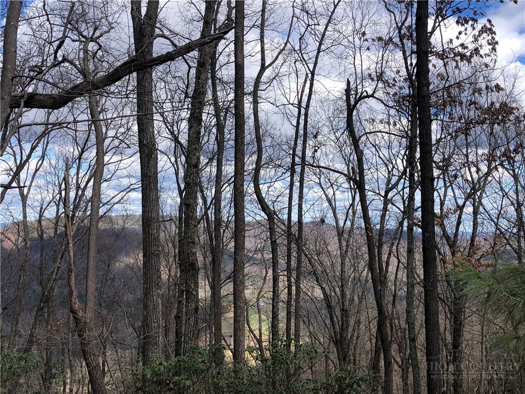Lot 21 Bobcat Mountain Road Purlear, NC 28665 - Photo 16 of 46 a view of trees in a yard