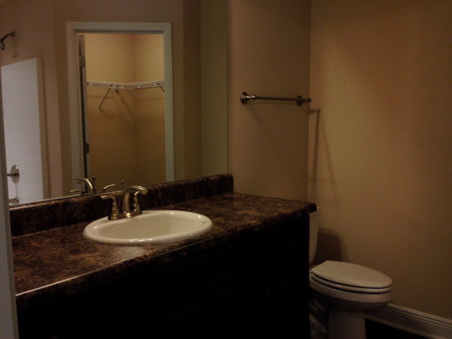 12458 Copperwood Drive Foley, AL 36535 - Photo 8 of 13 Master Bath