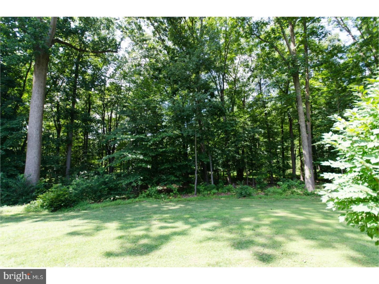 4848 Kings Road Doylestown, PA 18902 - Photo 24 of 25 Back Yard