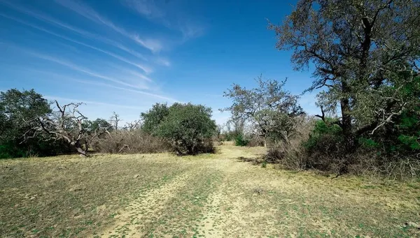 a view of a yard with trees