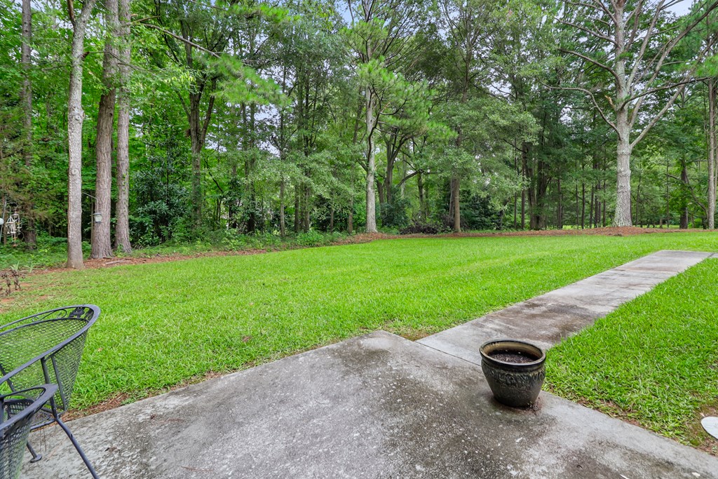 3231 Judson Bulloch Road Warm Springs, GA 31830 - Photo 29 of 33 Gallery Image 29