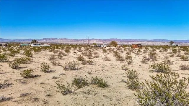 a view of a large trees with outside view