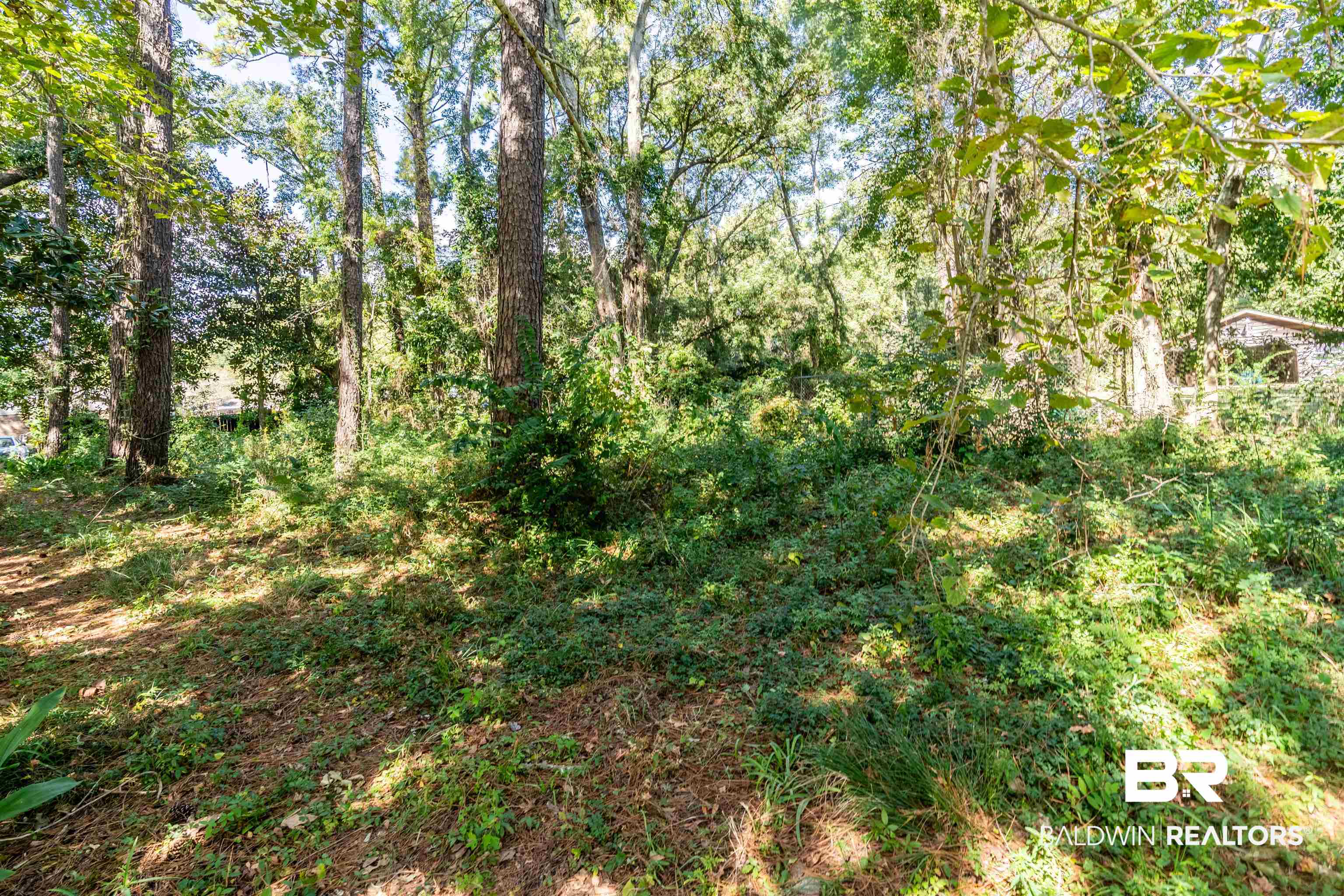 3973 Bayfront Road Mobile, AL 36605 - Photo 4 of 8 View of landscape