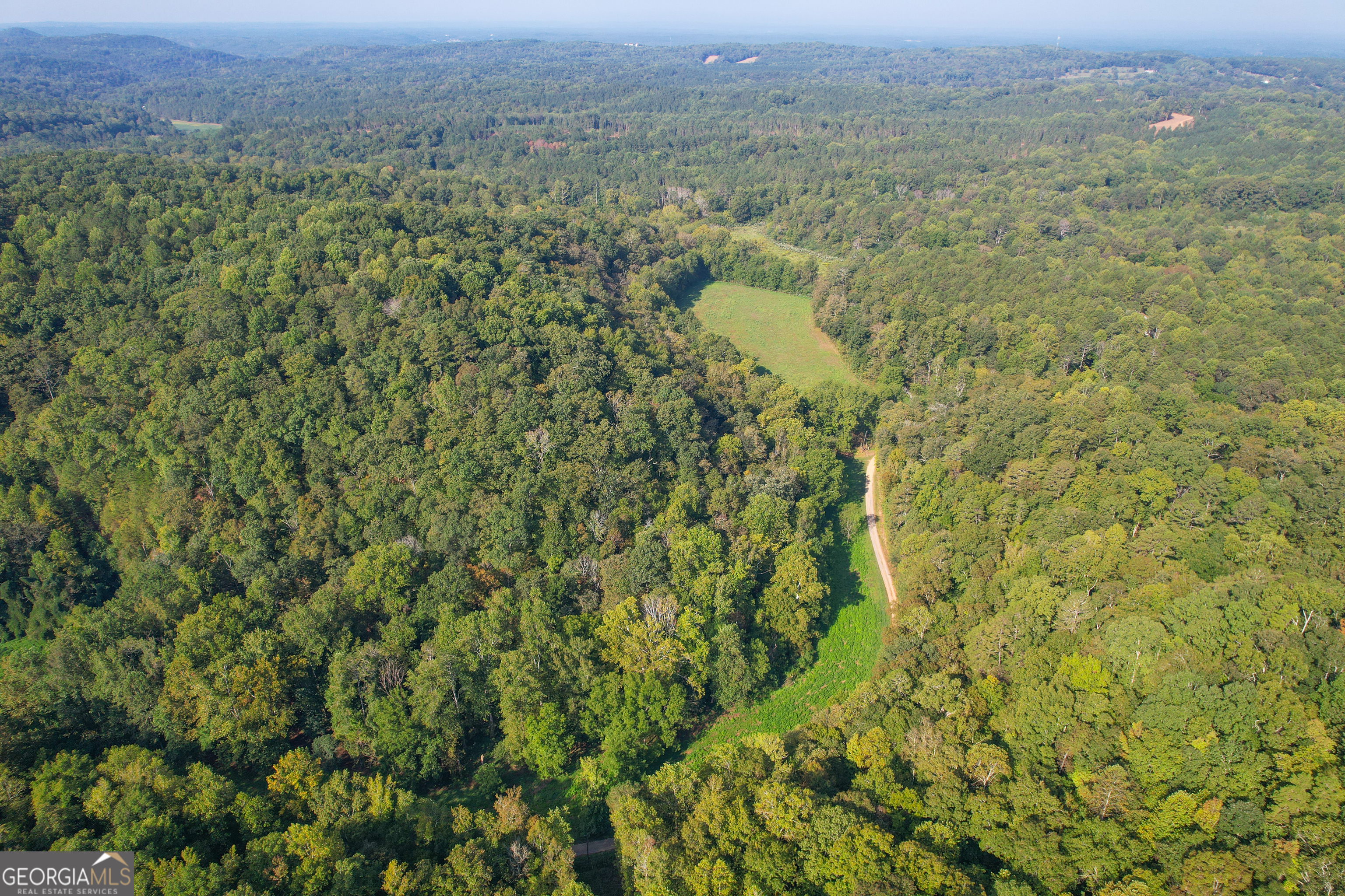 45 Acres On Rambling Road Fairmount, GA 30139 - Photo 11 of 24 a view of a lake with a mountain