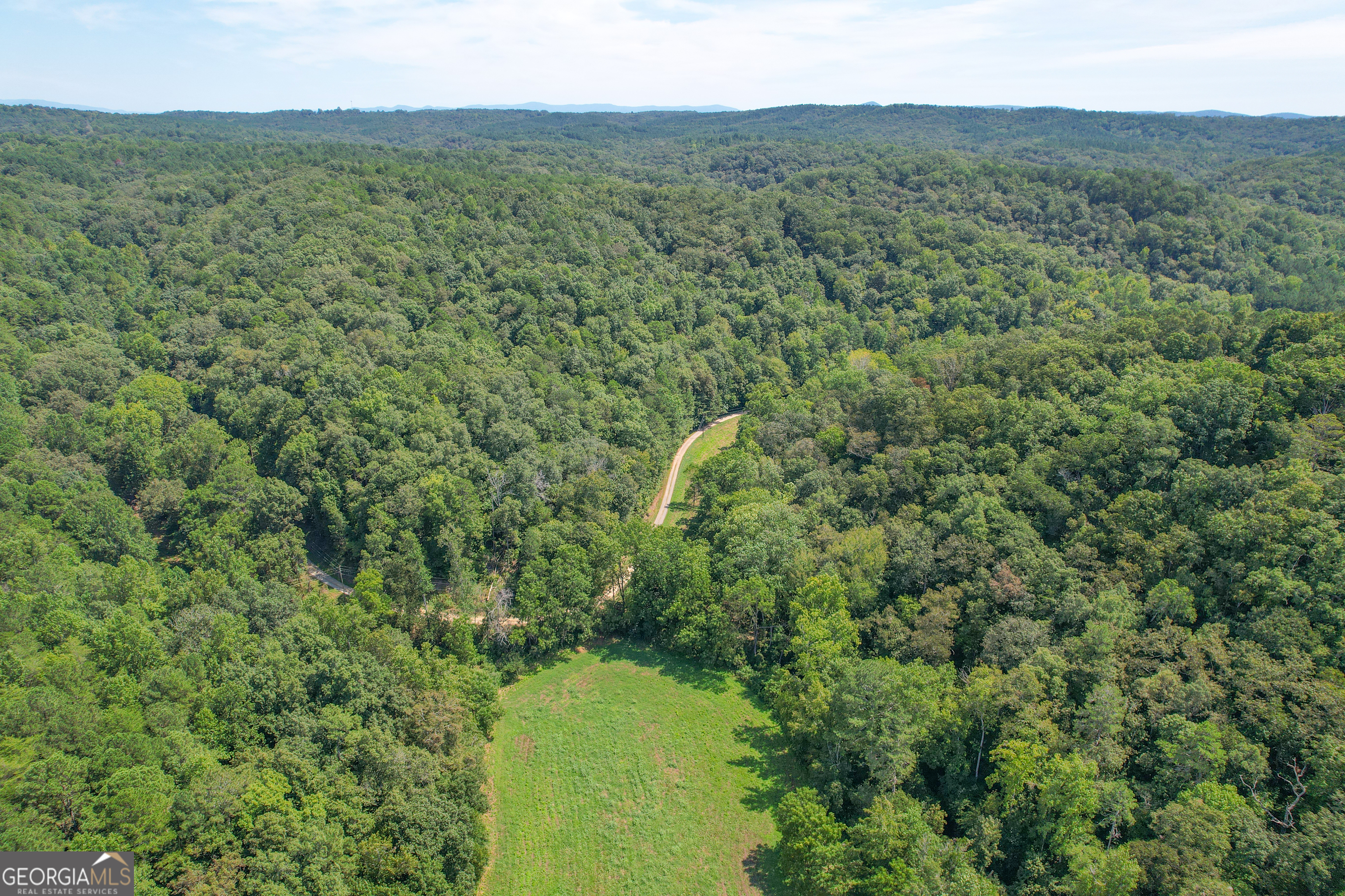 45 Acres On Rambling Road Fairmount, GA 30139 - Photo 13 of 24 a view of a lush green forest with trees and some houses