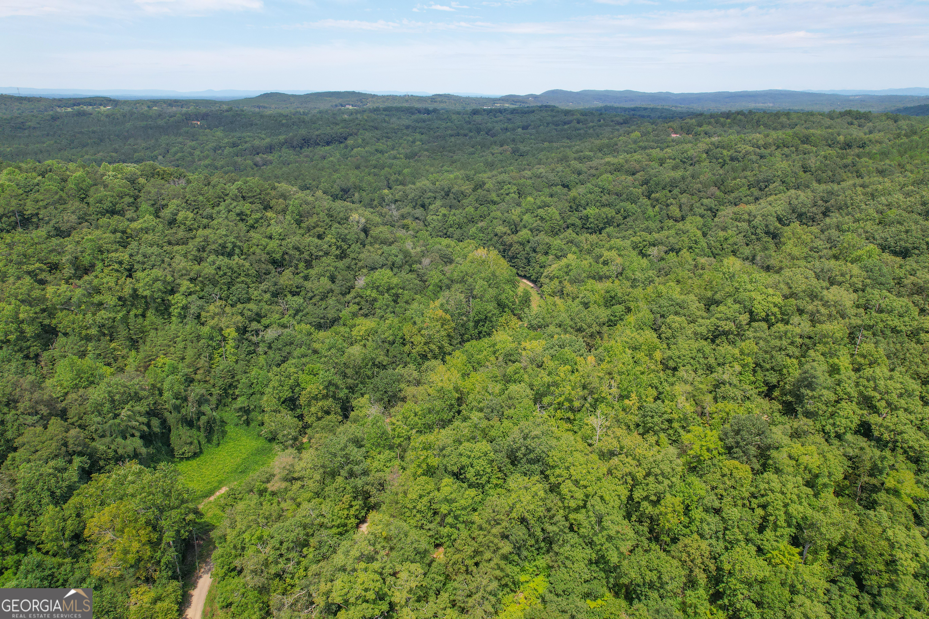 45 Acres On Rambling Road Fairmount, GA 30139 - Photo 15 of 24 a view of a lush green forest with a mountain