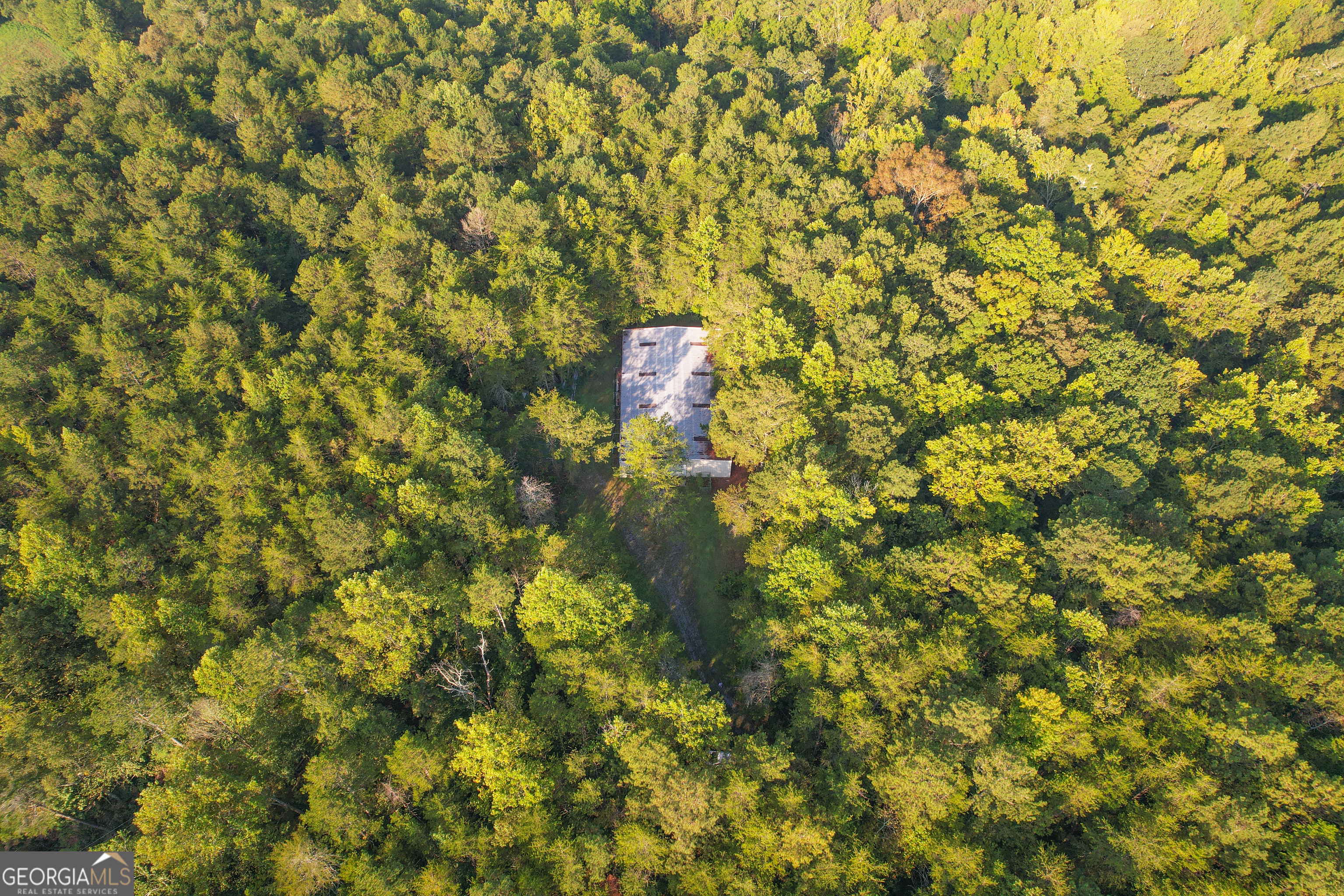 45 Acres On Rambling Road Fairmount, GA 30139 - Photo 17 of 24 a close up of a tree