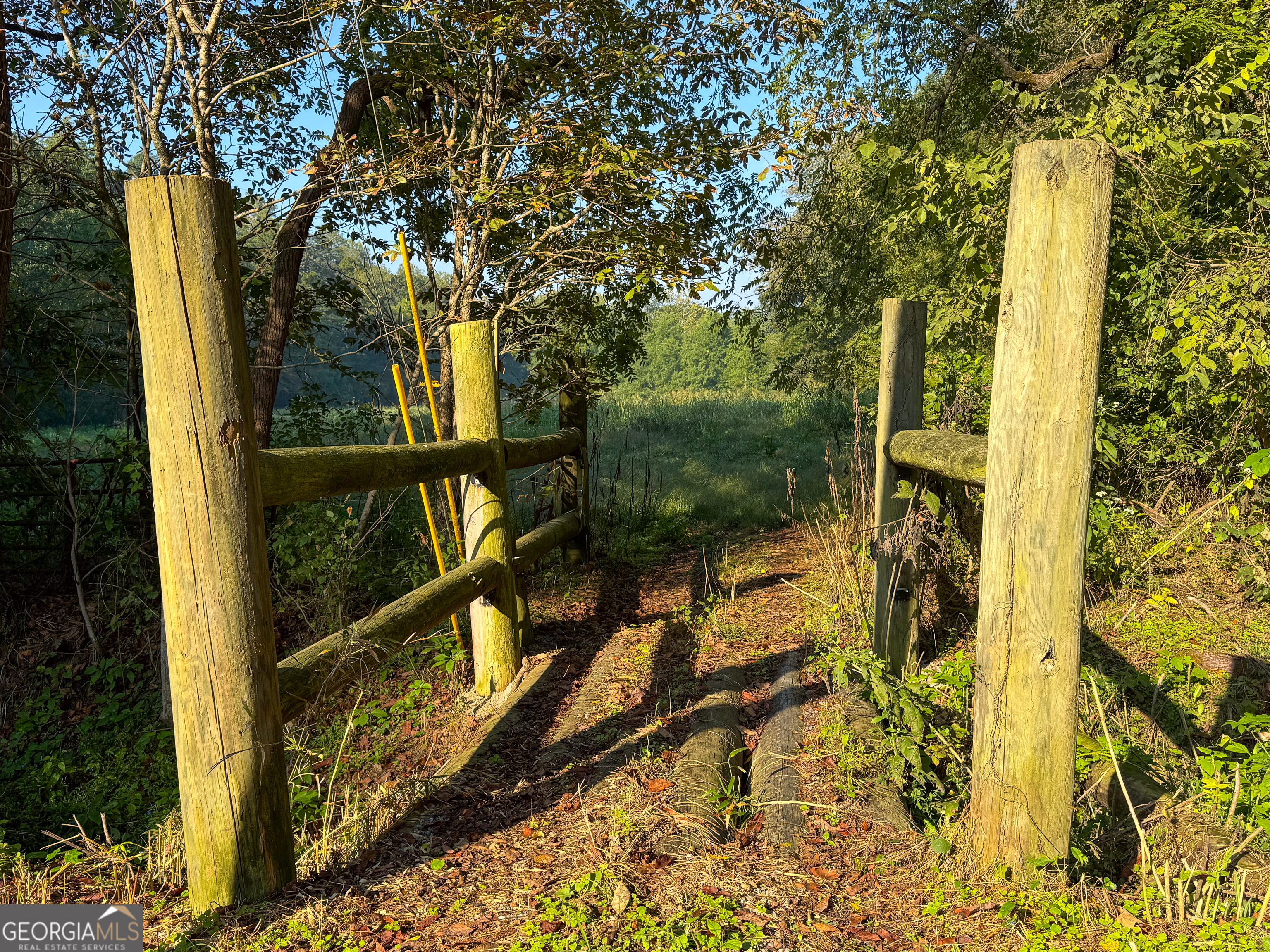 45 Acres On Rambling Road Fairmount, GA 30139 - Photo 18 of 24 a view of a balcony with a tree