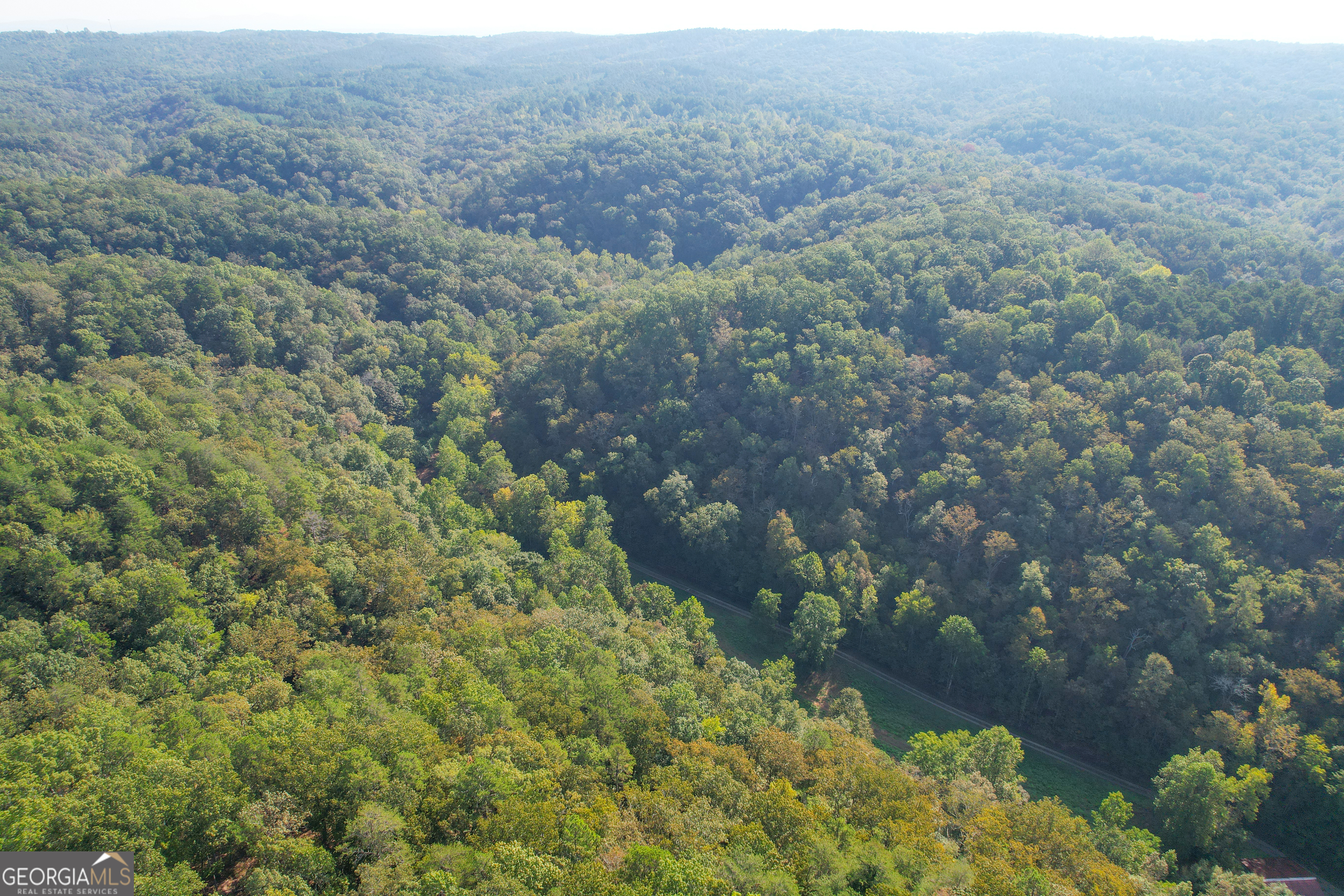 45 Acres On Rambling Road Fairmount, GA 30139 - Photo 20 of 24 a view of a forest with a yard