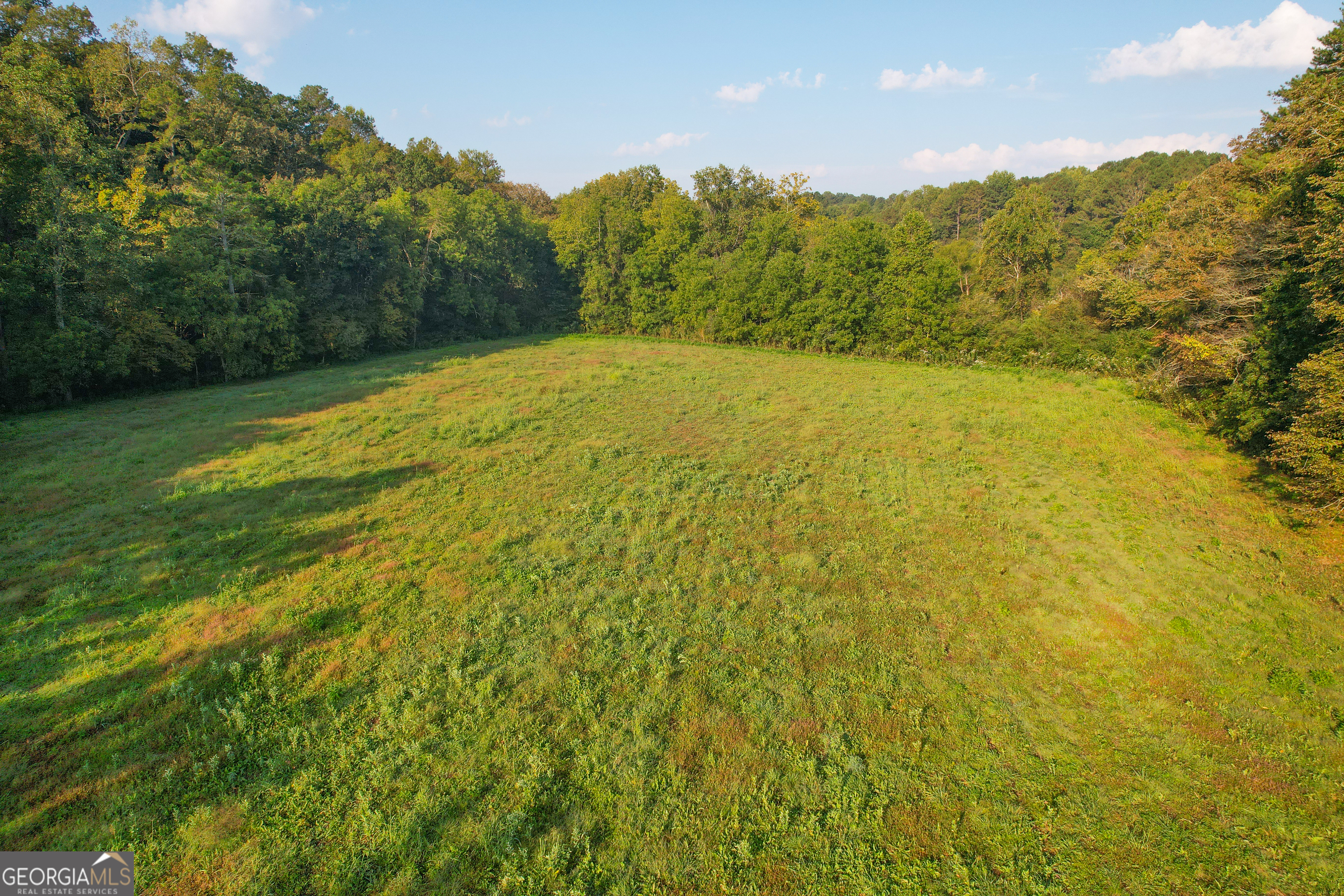 45 Acres On Rambling Road Fairmount, GA 30139 - Photo 21 of 24 a view of a field with an ocean view