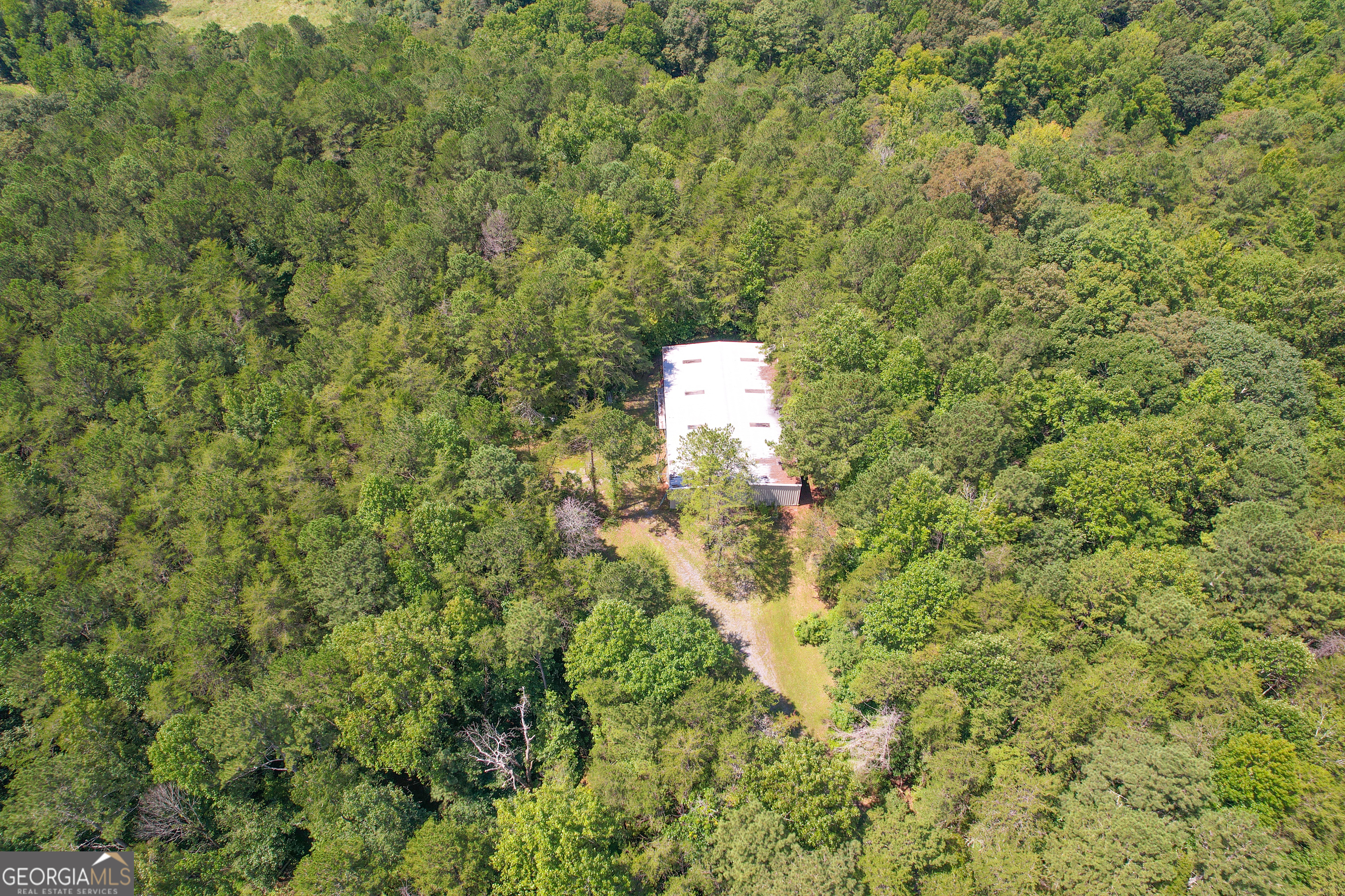 45 Acres On Rambling Road Fairmount, GA 30139 - Photo 6 of 24 a close up of a plant in a garden