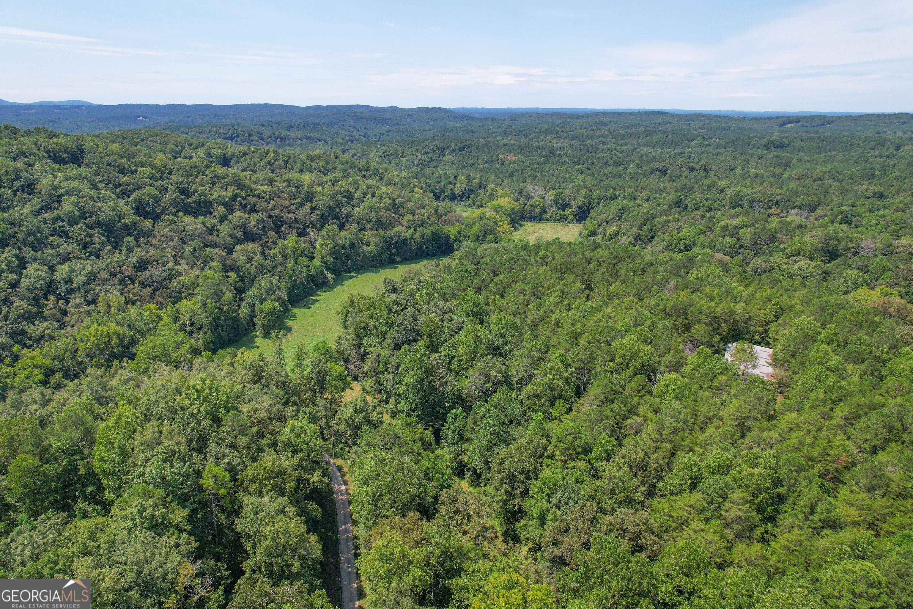 45 Acres On Rambling Road Fairmount, GA 30139 - Photo 10 of 24 a view of a green field with lots of bushes