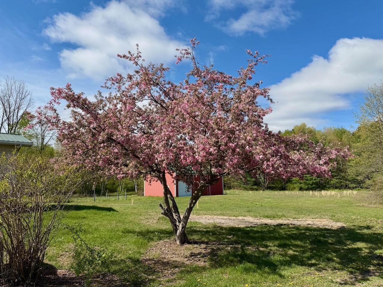 18303 West Marion Road Brant, MI 48614 - Photo 10 of 42