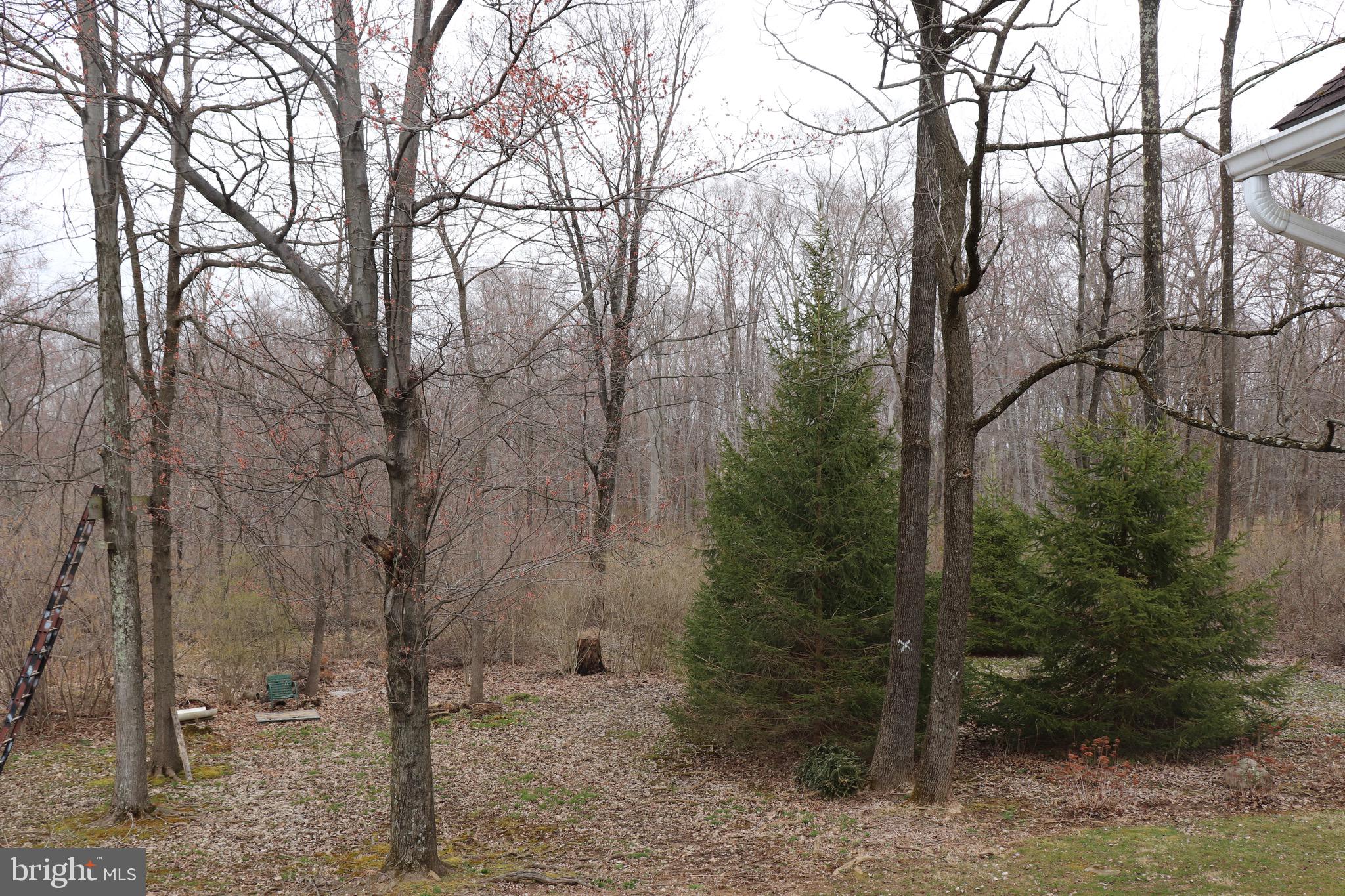 134 West Branch Road Barto, PA 19504 - Photo 30 of 37 Gallery Image 30