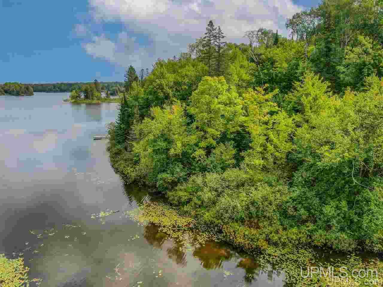 On On Chaney Lake Road Wakefield, MI 49968 - Photo 8 of 18