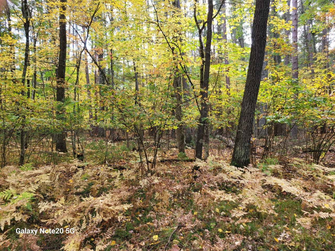 Lot #90 Eagle Pines Road Eagle River, WI 54521 - Photo 18 of 20 Gallery Image 18