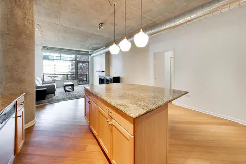 $475,000 | 125 East 13th Street, Unit 1103, Chicago, IL 60605