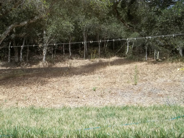 18685 Moro Road Salinas, CA 93907 - Photo 11 of 13 Gallery Image 11