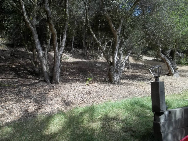 18685 Moro Road Salinas, CA 93907 - Photo 7 of 13 Gallery Image 7