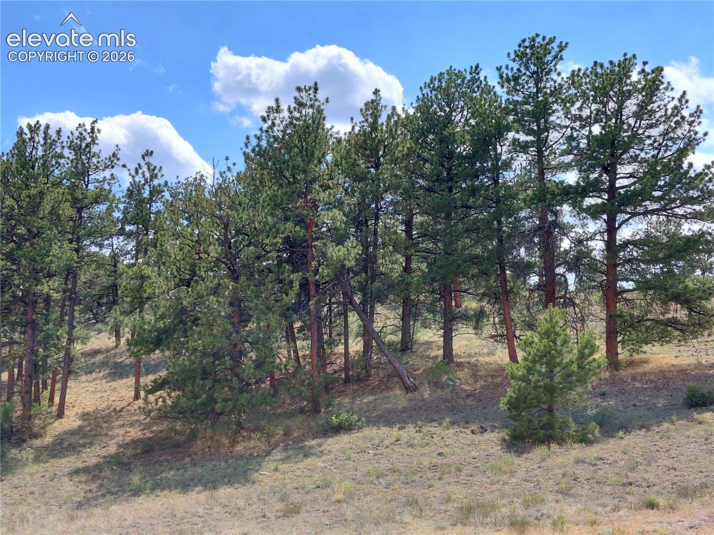 70 Owls Nest Road Guffey, CO 80820 - Photo 25 of 26 Gallery Image 25