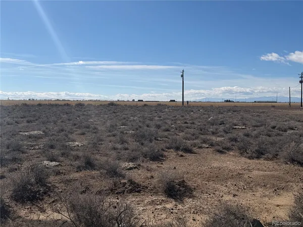 a view of a dry yard