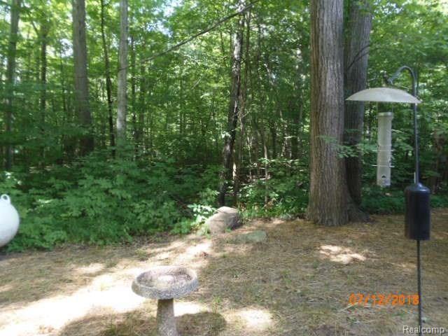 8105 McClements Road Brighton, MI 48114 - Photo 18 of 20 Heavily wooded, cuts down on the mowing time!!